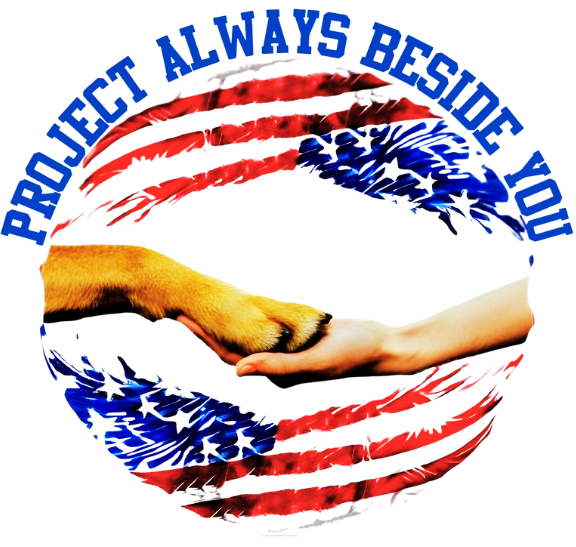 Project Always Beside You logo