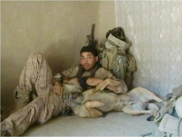 A deployed service member resting with a working dog