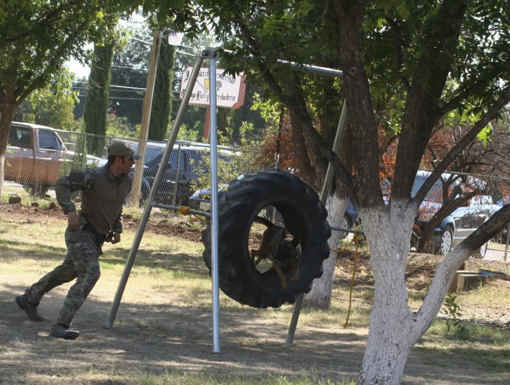 A K9 training obstacle set up at an outdoor event