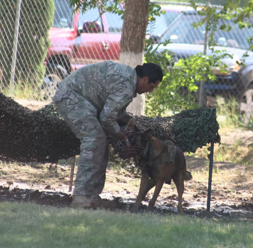 A handler working with a K9 during a training demonstration