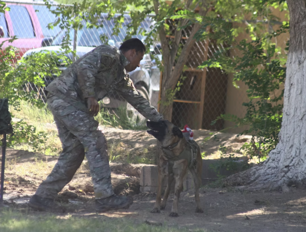 A handler training a military working dog outdoors